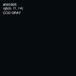 #060B0E - Cod Gray Color Image